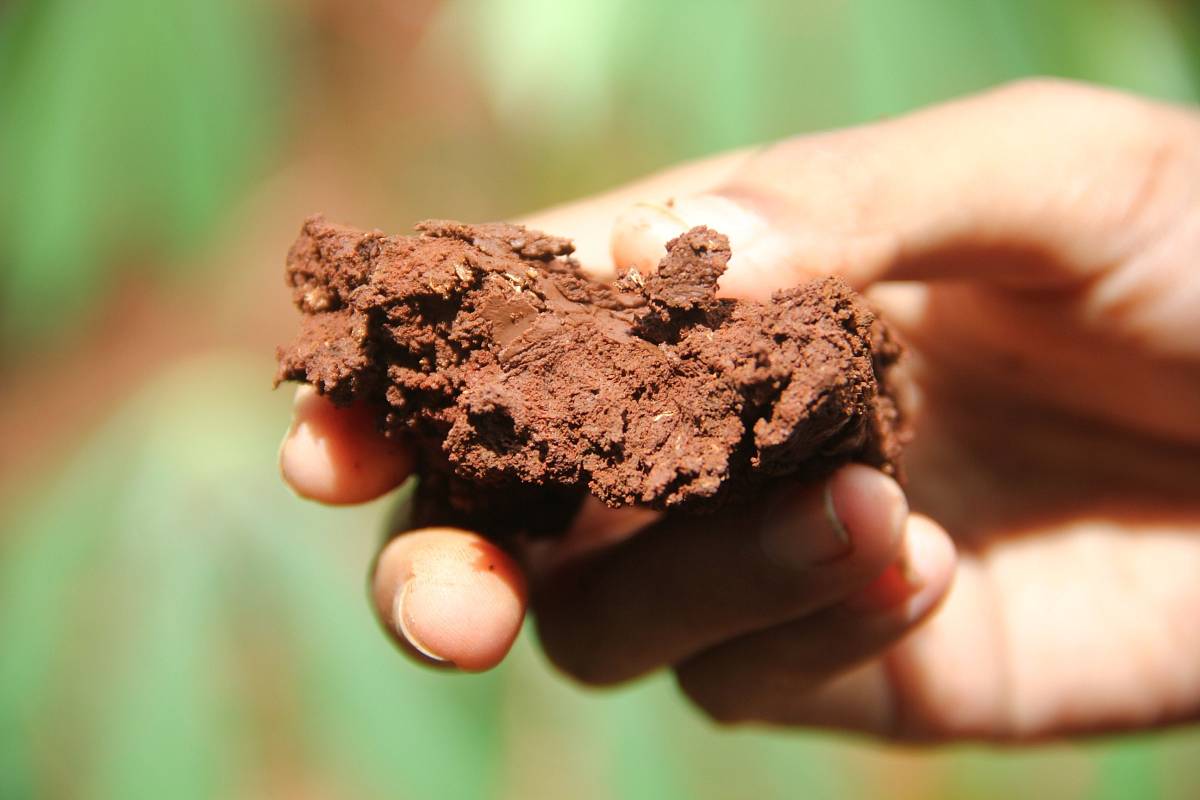 Hand hält feuchten Lehm – Symbol für ökologisches Bauen mit natürlichen Baustoffen.
